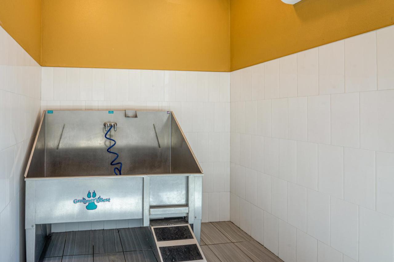 Apartmán Luxe 3B/2B Getaway - Pool, Gym, Parking, Pet Wash Leander Exteriér fotografie